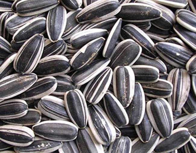 Vietnam's Most Common Seeds & Nuts For New Year